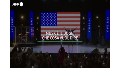 Musk e' il doge, che cosa vuol dire