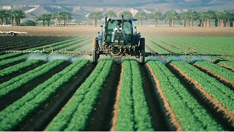 Al G7 Agricoltura c’è il made in Italy, ma il confronto è su transizione green e povertà alimentare